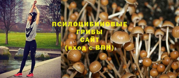 тгк Лихославль