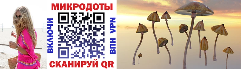 Псилоцибиновые грибы мухоморы  Купить закладки  Тимашёвск 